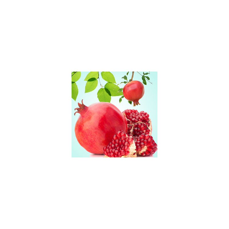 Pomegrante Fragrance Oil ( Size A - 1/4 ounce)