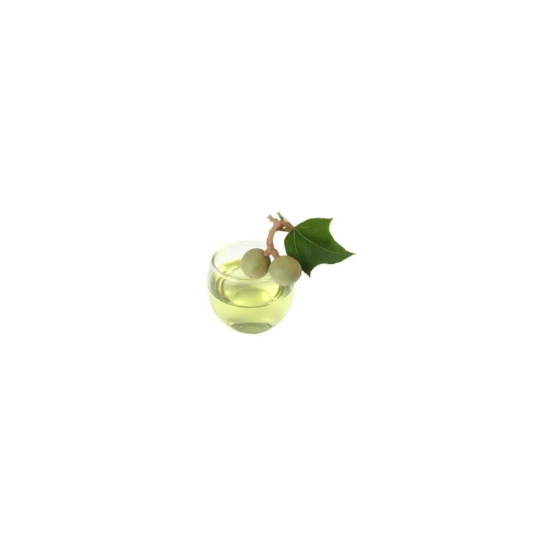 Kukui Nut fixed oil