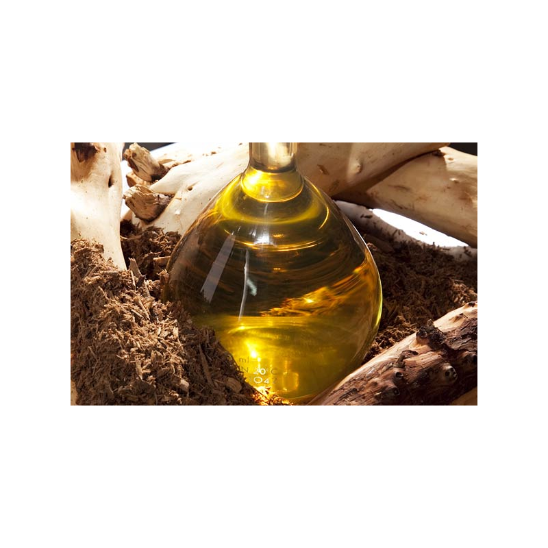 Australian Sandalwood
