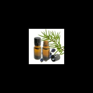 Juniper Berry Essential Oil
