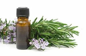Rosemary Essential Oil