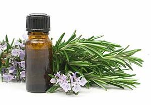 Rosemary Essential Oil