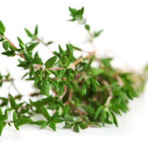 Red Thyme Essential Oil