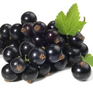 Cassis Fragrance Oil