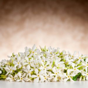 Neroli Fragrance Oil