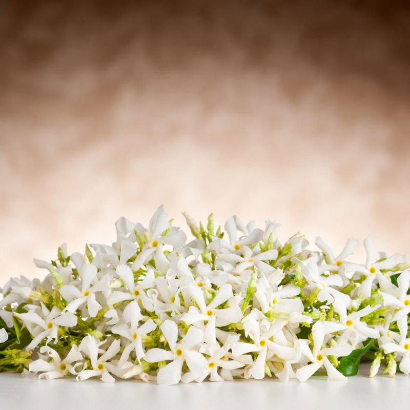 Neroli Fragrance Oil