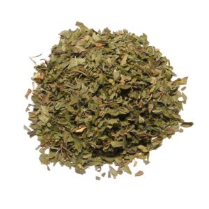 Spearmint Leaf