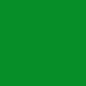 Kelly Green Gel Tone