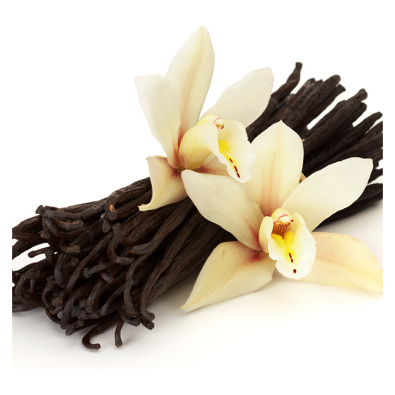 Vanilla X Fragrance Oil