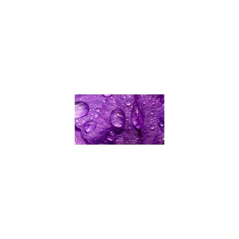 Lavender Water