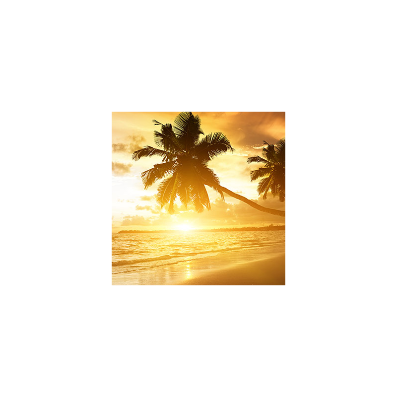 Summerland Fragrance Oil